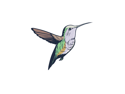 (For Sale) Hummingbird Logo animal beautiful beauty bird business colibri colorful fauna fly humming hummingbird icon illustration logo nature sign vector wild wildlife wing