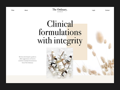 The Ordinary Website Header