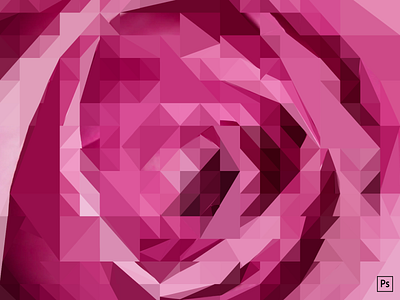 A triangulated rose clean design illustration photoshop pink rose