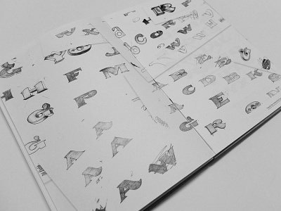 Woodiol sketches book graphic design handlettering handmade lettering publishing typogaphy