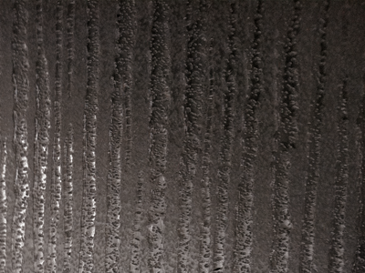 Glassforest2