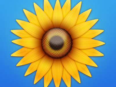 Flower: Yellow bright colorful colourful flower icon illustration practice springiscoming sunflower vibrant yellow