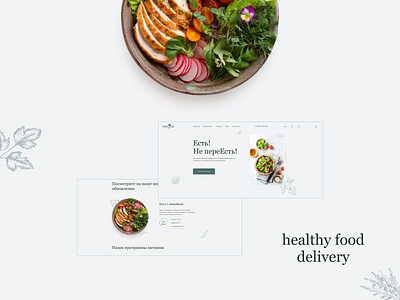 healthy food delivery