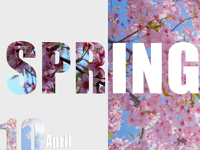 spring, april'10 adobe photoshop april aprilea illustration spring