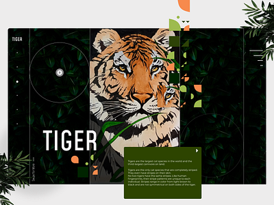 Animal Website UI (Tiger) - Part 1 animal animal website design designer minimal tiger ui uiux web website wildlife