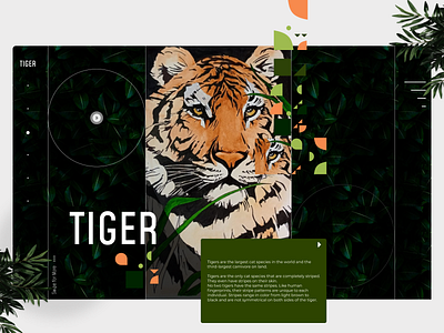 Animal Website UI (Tiger) - Part 1