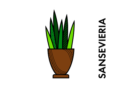 "Cactus". Vector illustration. cacti cactus character design flat flower graphic illustration logo plant sansevieria stickers vector