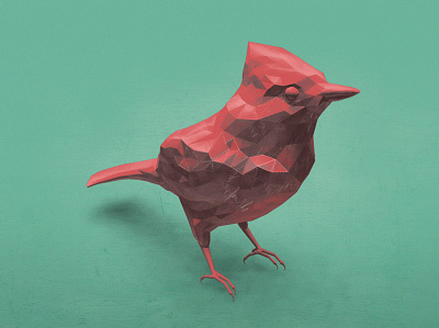 Robin test / cinema 4d 3d art illustration web