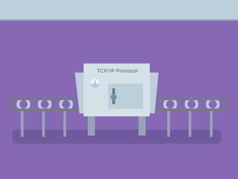 TCP IP Protocol 2d after effects animation web