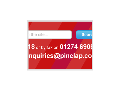 Pinelap button search site ui