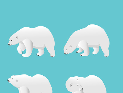 Bear Sample animal animals cute cute animals cute art design earthday illustration polar bear white bear