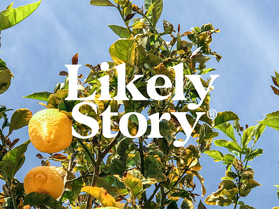 Organic Logo Design for Likely Story Australia