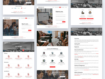 CIMB Niaga - UI API Portal Website (2018)