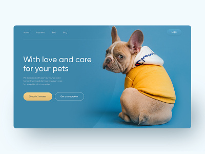 Pet insurance company design graphic design minimal typography ui ux web