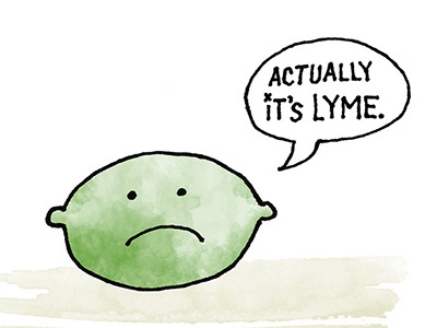 Lyme doodle illness limes lyme wmc