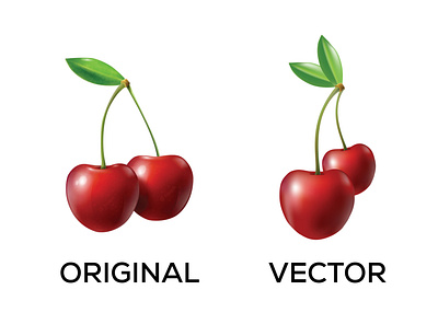 Cherry Vector Art cherry design graphic design illustration vector