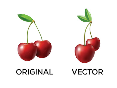 Cherry Vector Art
