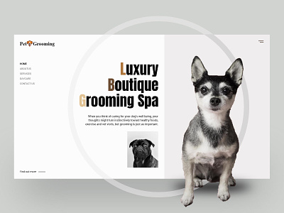 Pet Grooming adobexd app artwork beautiful boutique care clean cleandesign concept conceptdesign daycare design dog grooming luxury services shape ui ux uxdesign