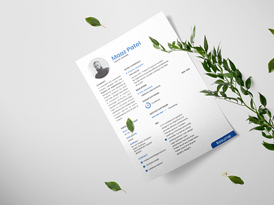 Resume / CV Design - Creative Projects branding cv design graphic design graphics id illustration office resume vector