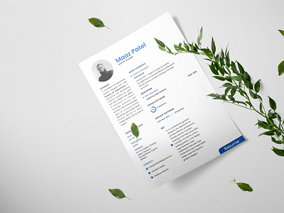 Resume / CV Design - Creative Projects