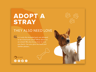 Adopt a stray