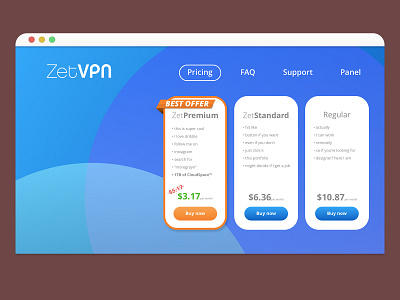 VPN service website homepage concept mockup