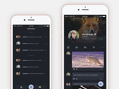 Profile and Notifications - Social Network App Concept