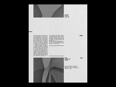 Home brutalism design graphic graphic design grayscale minimal monochrome photography photoshop plakat poster poster a day poster art poster design print print design simple type typeface typography