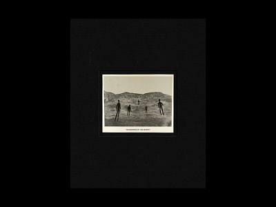 Wanderers Of The Desert adobe archive collage design graphic design illustration minimal minimalism monochrome photography photoshop plakat poster poster art poster design print print design screen print simple zine