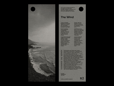 The Wind