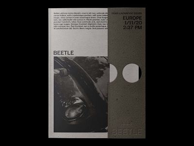 Beetle book book cover branding design graphic graphic design illustration magazine minimal paper photoshop poster print print design printing product design simple type typeface typography