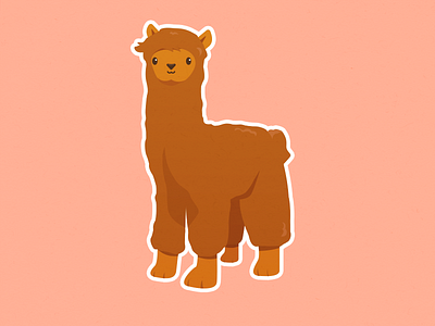 Fluffy Little Alpaca