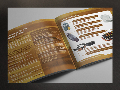 brochure / catalogue for a big insurance company