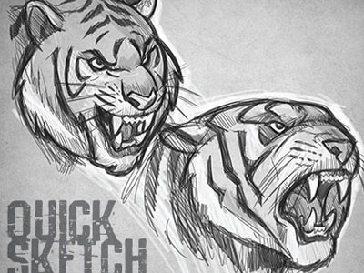 Tiger roughs