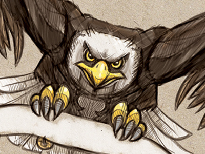 Eagle Soar birds confident eagles flight mascot soar