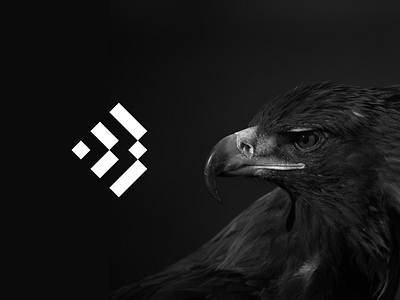 Blackbird b bird bird logo branding cyber security eagle falcon hawk logo minimal modern protection security vision