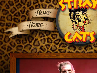 The Stray Cats photoshop texture web web design