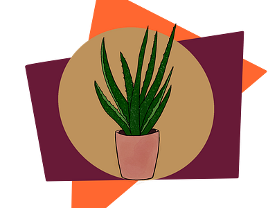 Abstract Aloe aloe botanicals illustration illustrator procreate
