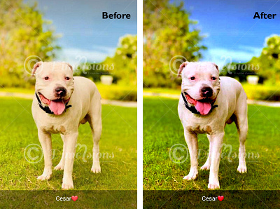 Color correction color correction image editing photoshop