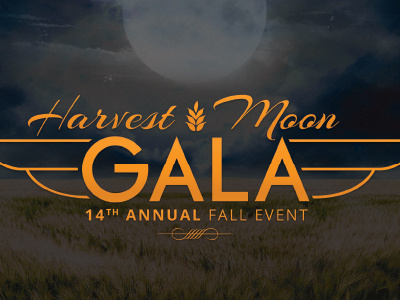 Gleaners Harvest Moon Gala Cover charity dallara food bank gala gleaners harvest indianapolis moon speedway