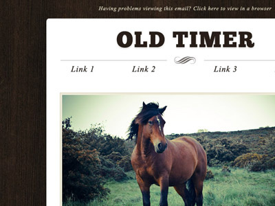 Old Timer country email template