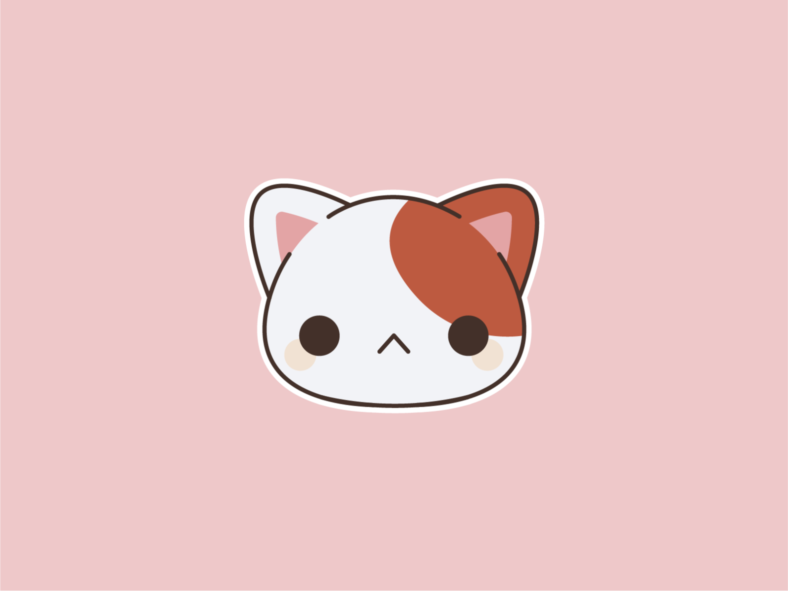 Download An Adorable Anime Cat For Your Home Wallpaper | Wallpapers.com