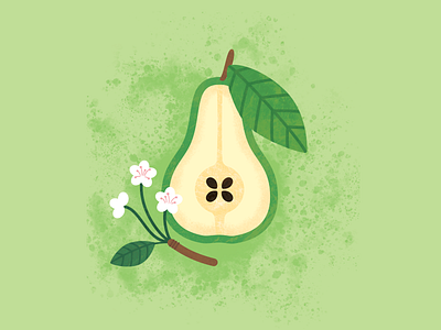 Pear adobe illustrator design fruit fruit illustration illustraion illustrator photoshop texture vector