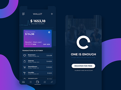 Mobile Wallet App Concept