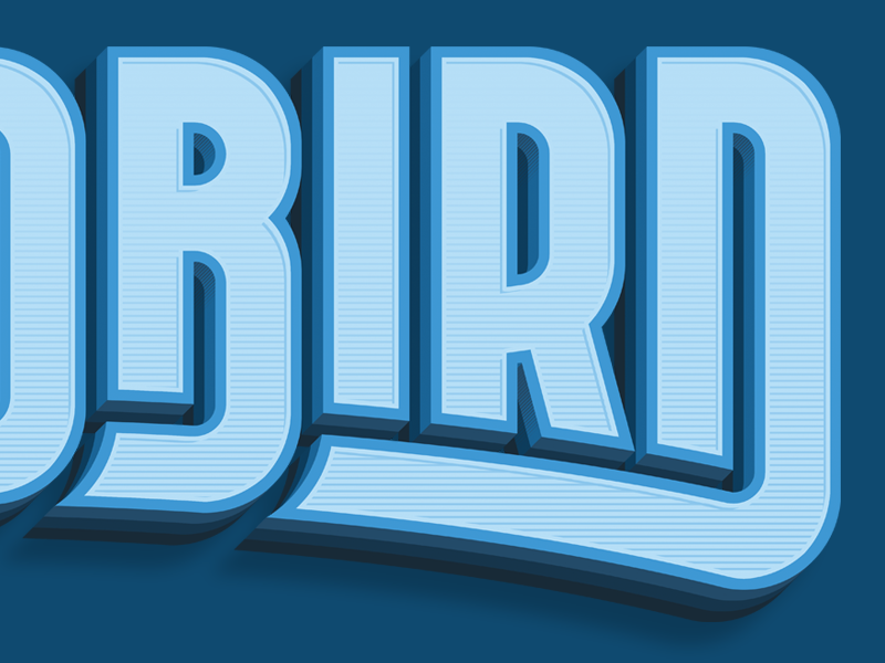 bird-s-the-word-by-jason-carne-on-dribbble