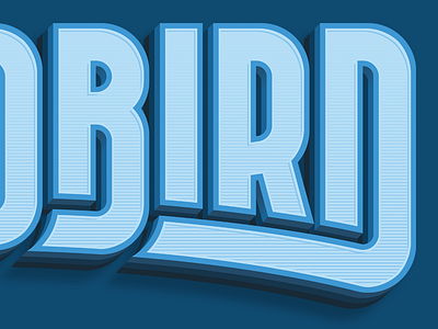 Bird's The Word apparel block custom handmade lettering printing type typography vintage