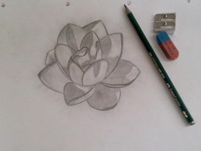 Sketching - Lotus drawing