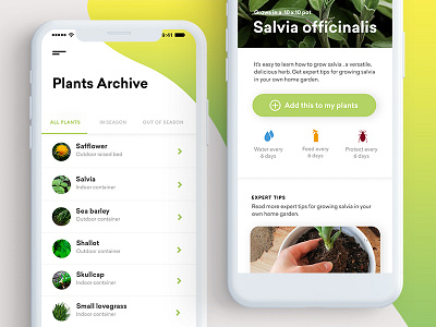 GreenThumb App | Plants Archive app archive dashboard gradient green interaction iphone mobile plant ui ux watering