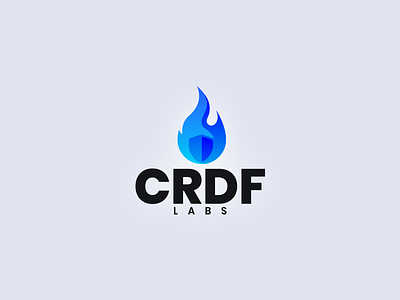 CRDF Labs logo branding flame icon identity logo security