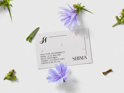 SHIMA Skin Care Products branding design graphic design logo